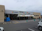 img0013.jpg