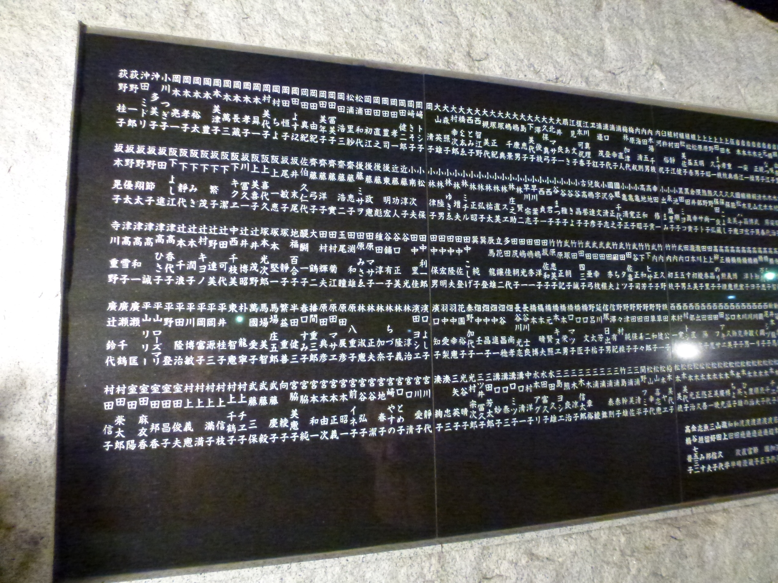 P1020800.JPG