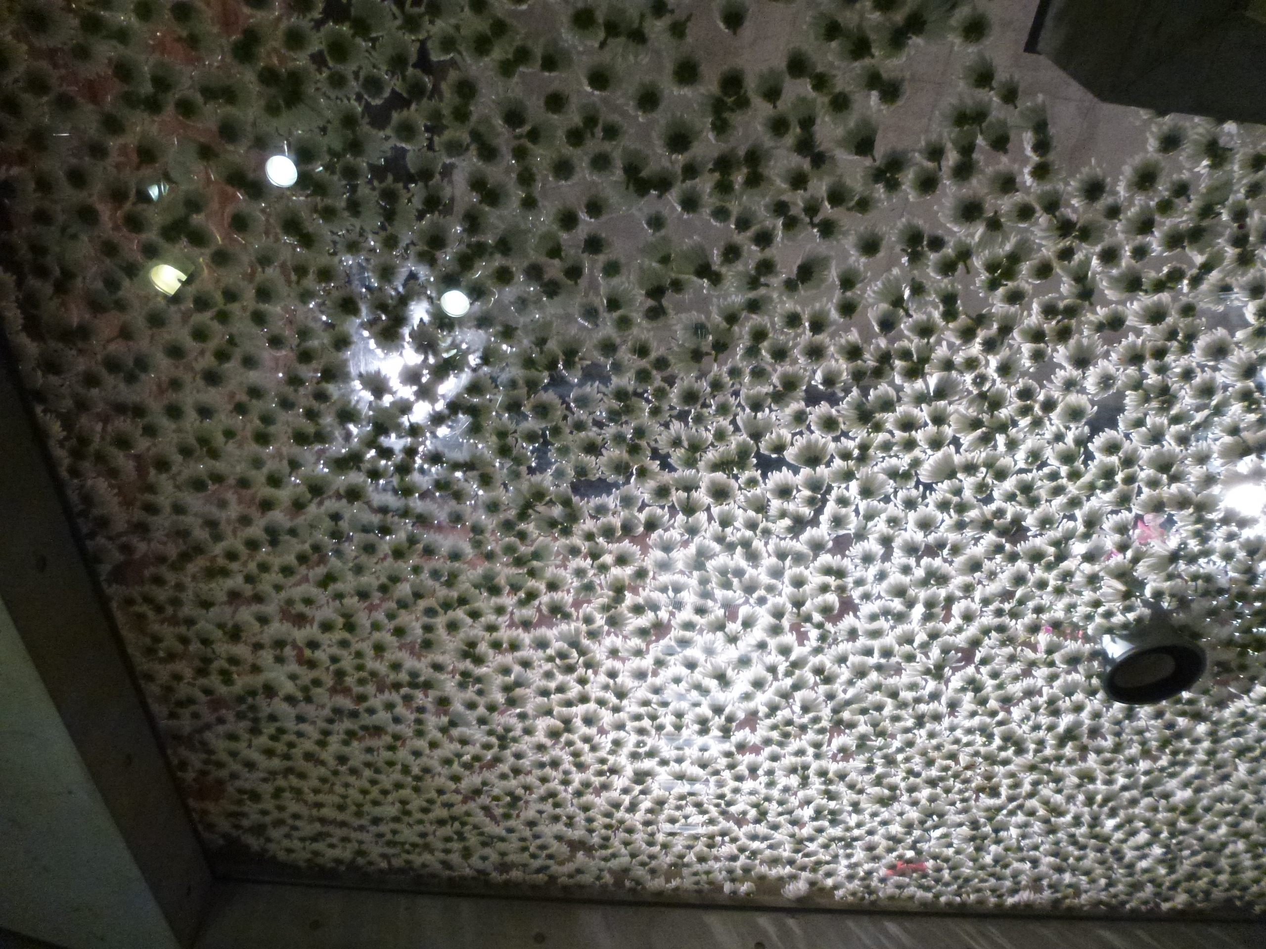 P1020836.JPG