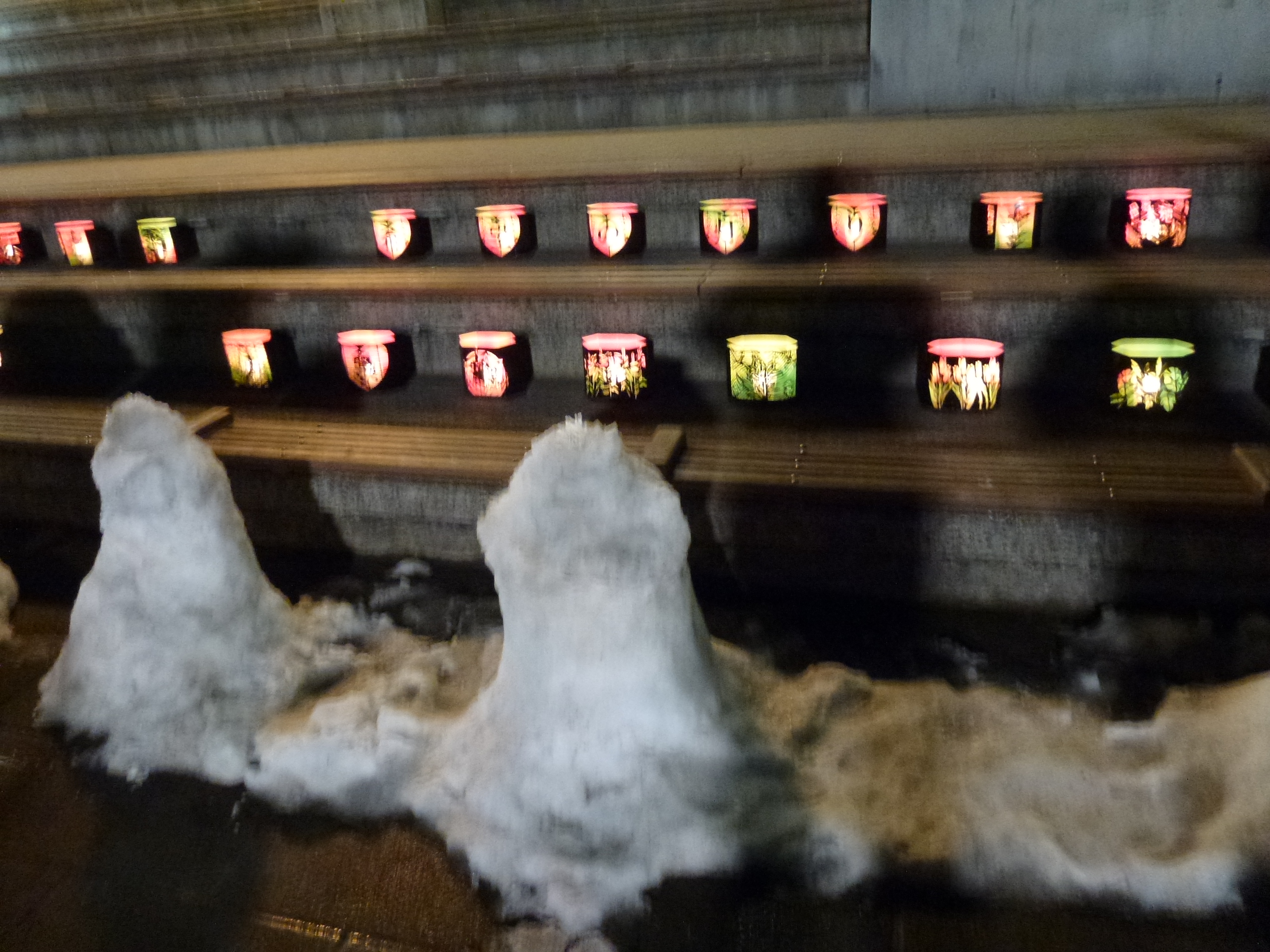 P1020839.JPG